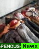 ۲۲۰۰ نفر شهید و ۱۰ هزار نفر زخمی،امروز در مصر