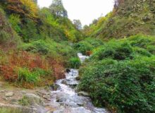 زیبایی های لنگرود