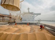 نهاده های فروخته شده گران نمی شود