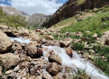 گزارش تصویری میشیاو