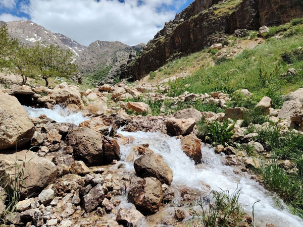 گزارش تصویری میشیاو